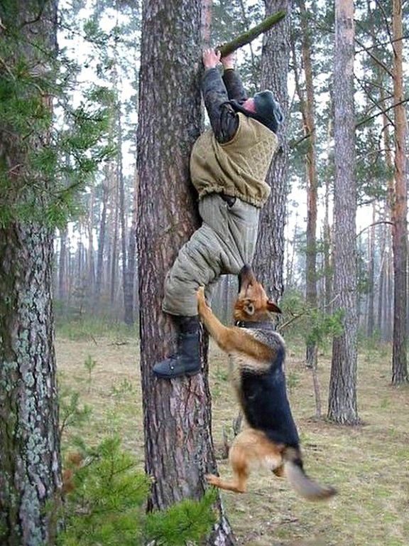 Хобби настоящих мужчин!, фото 8