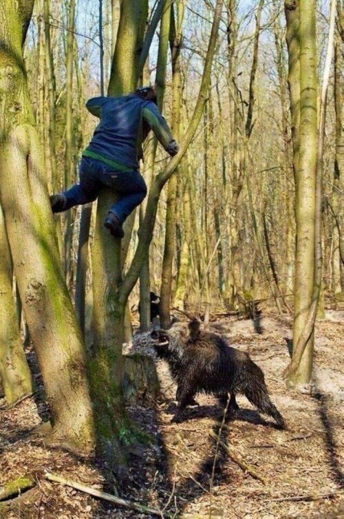 Хобби настоящих мужчин!, фото 7