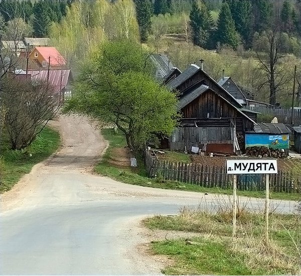 В деревне своя жизнь))), фото 11