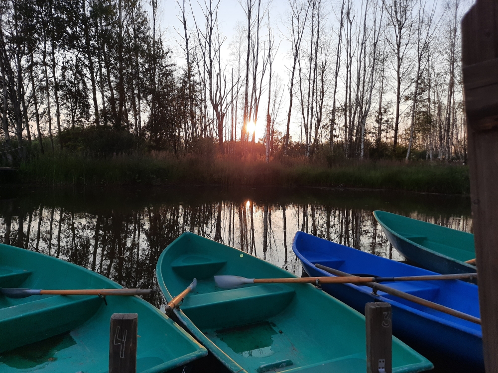 Хоббитленд - сказочный отель., фото 2 Хоббитленд - сказочный отель., фото 2