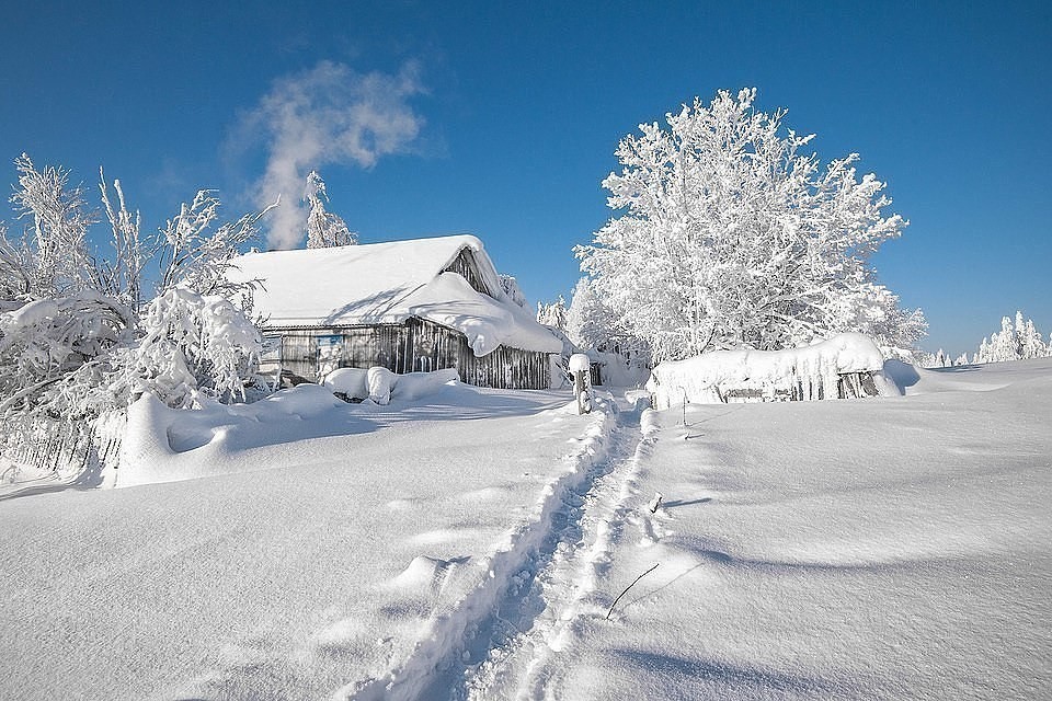 Настоящая снежная зима❄