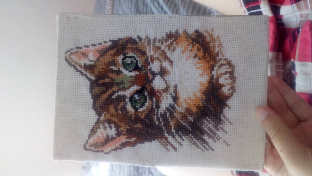 Чем я увлекаюсь, фото 31 Чем я увлекаюсь, фото 31