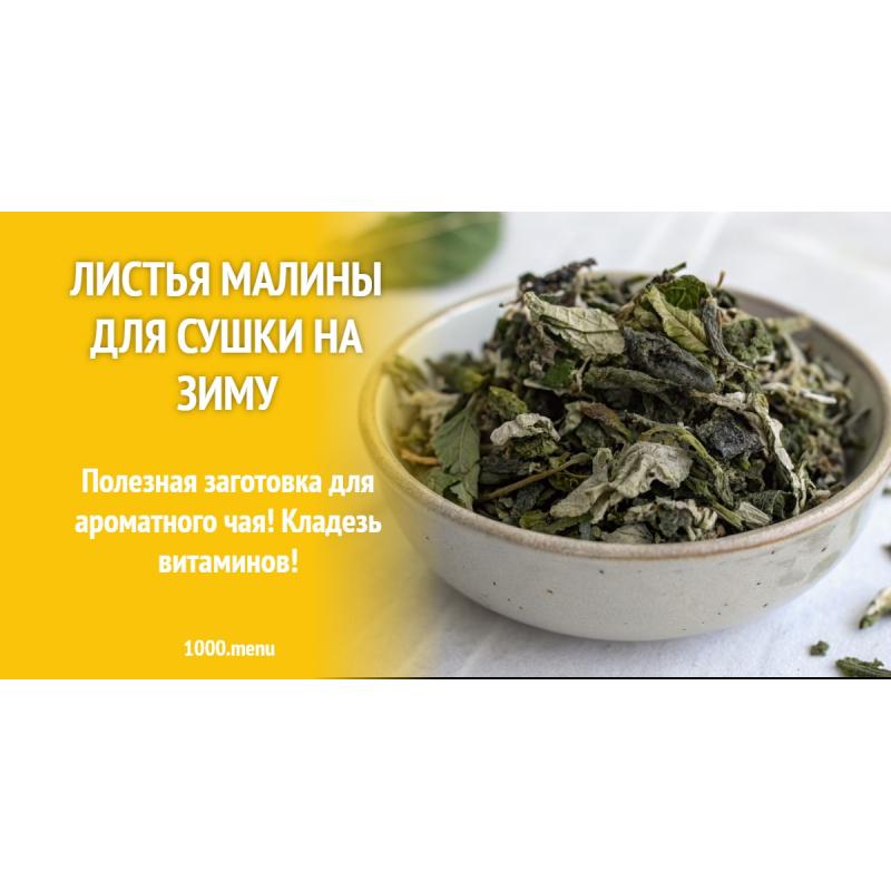 Листья малины для сушки на зиму