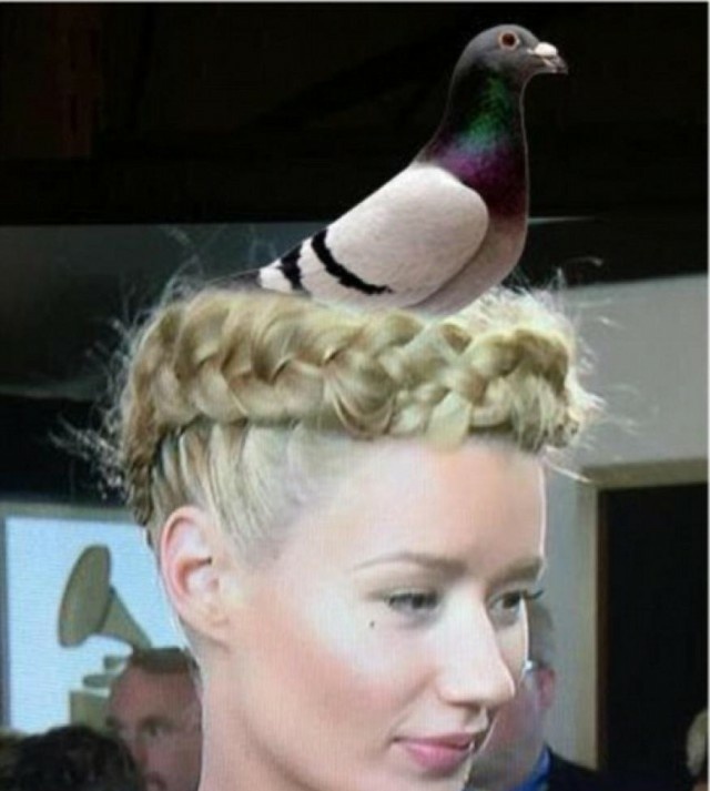 Победители в номинации: лучшая стрижка, фото 2