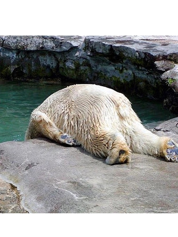 Пора на работу или есть ли жизнь после праздников, фото 39