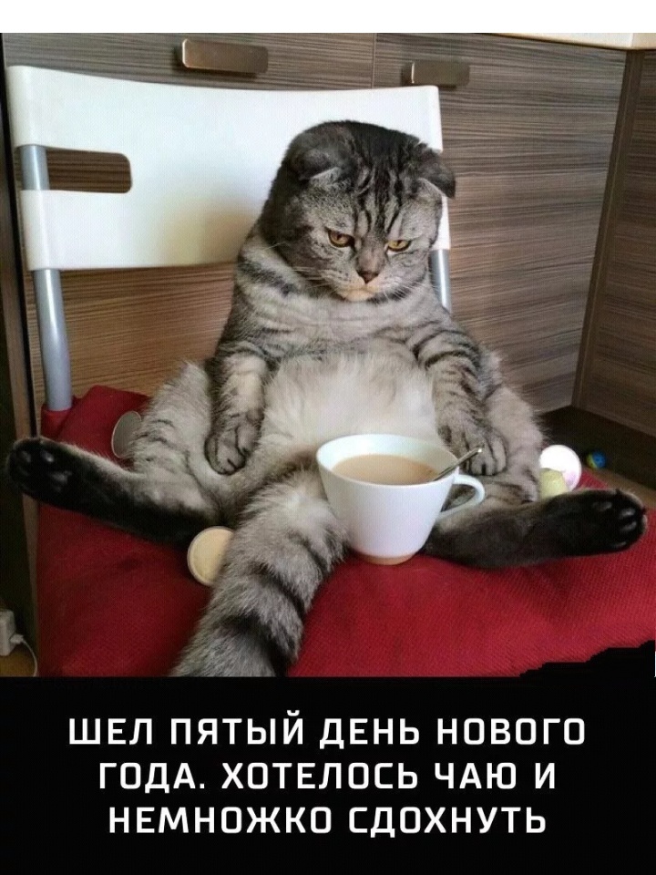 Пора на работу или есть ли жизнь после праздников, фото 38