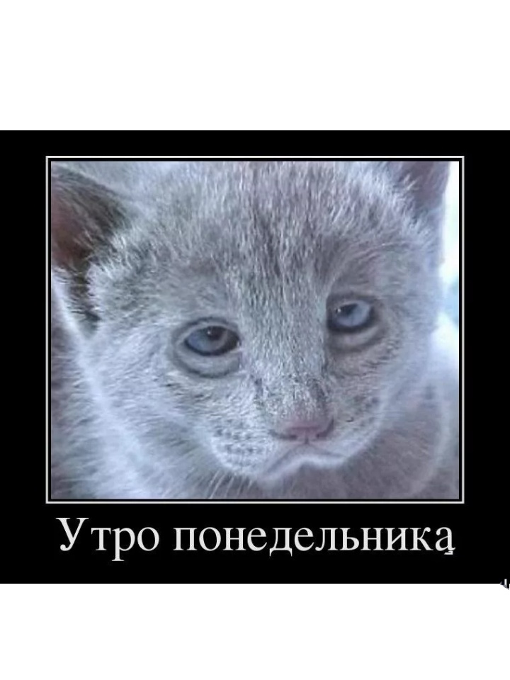 Картинка утро хуютро