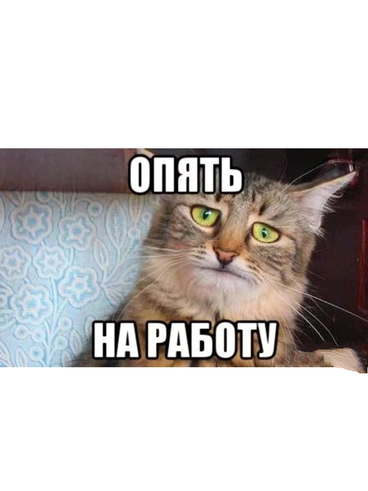 Пора на работу или есть ли жизнь после праздников, фото 29