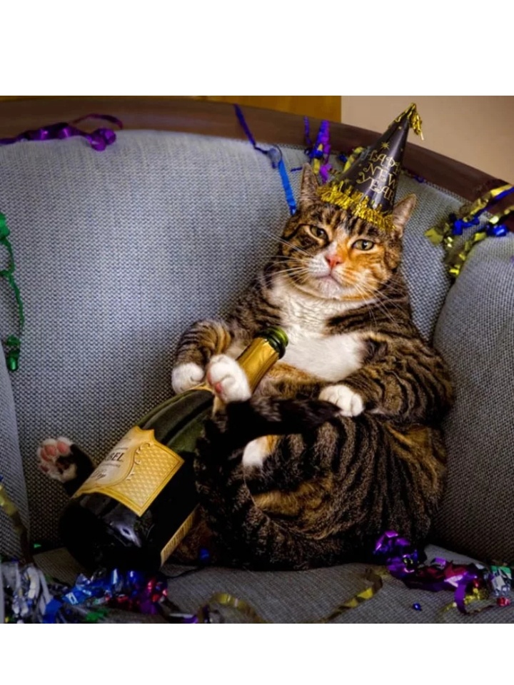 Пора на работу или есть ли жизнь после праздников, фото 28