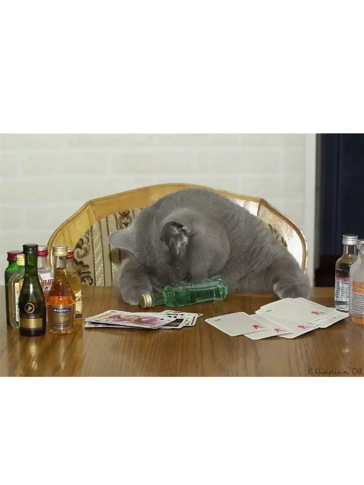 Пора на работу или есть ли жизнь после праздников, фото 22