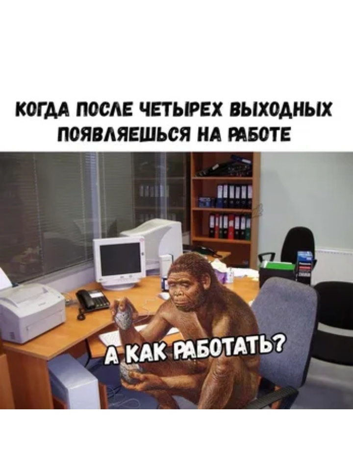 Пора на работу или есть ли жизнь после праздников, фото 8