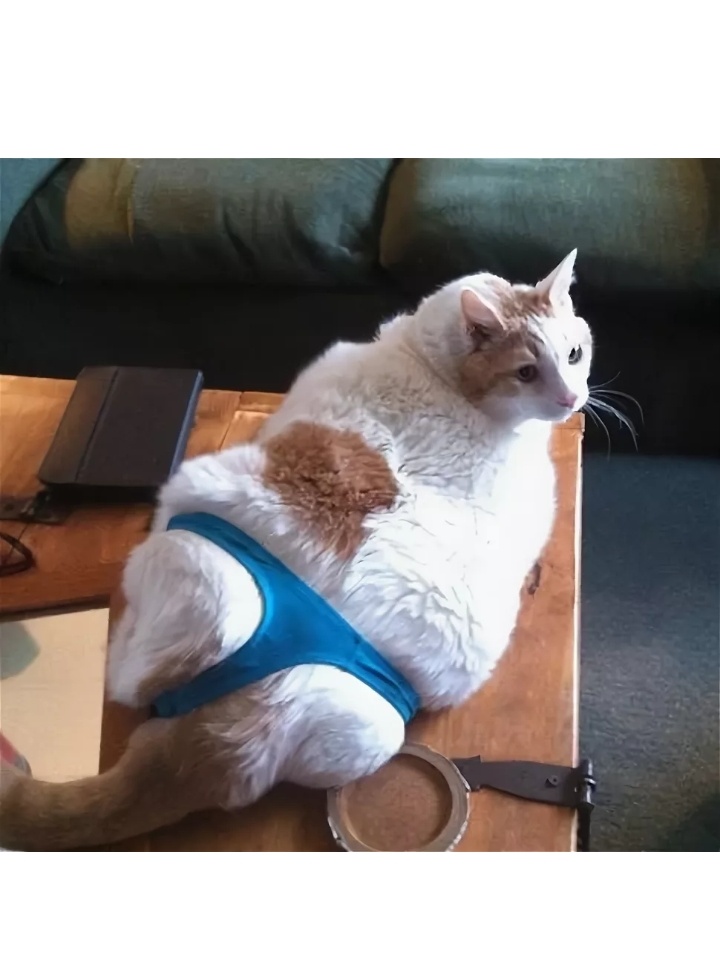 Пора на работу или есть ли жизнь после праздников, фото 4