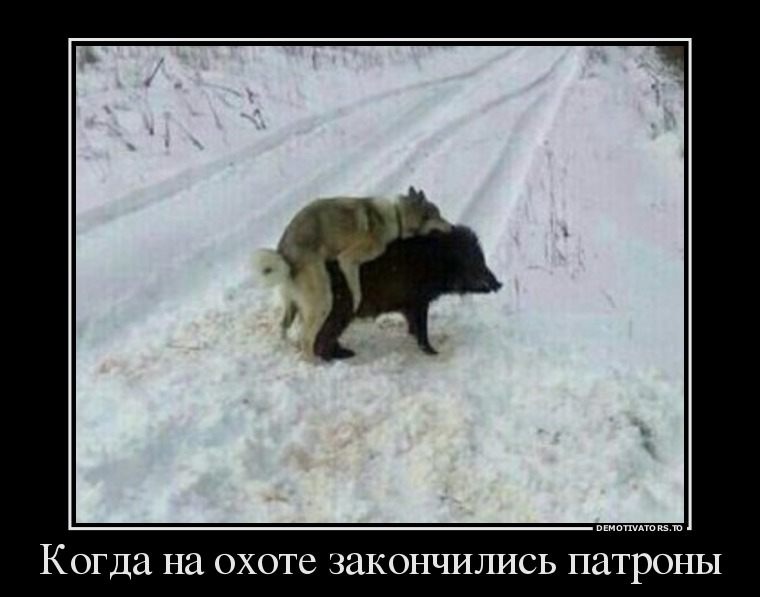 Хобби настоящих мужчин!, фото 5