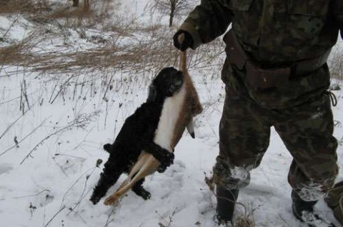 Хобби настоящих мужчин!, фото 2