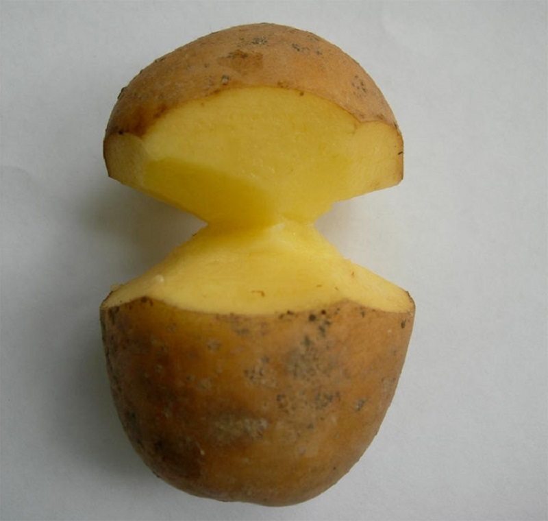 Как с одного куста собрать 3 ведра картошки? Как с одного куста собрать 3 ведра картошки?