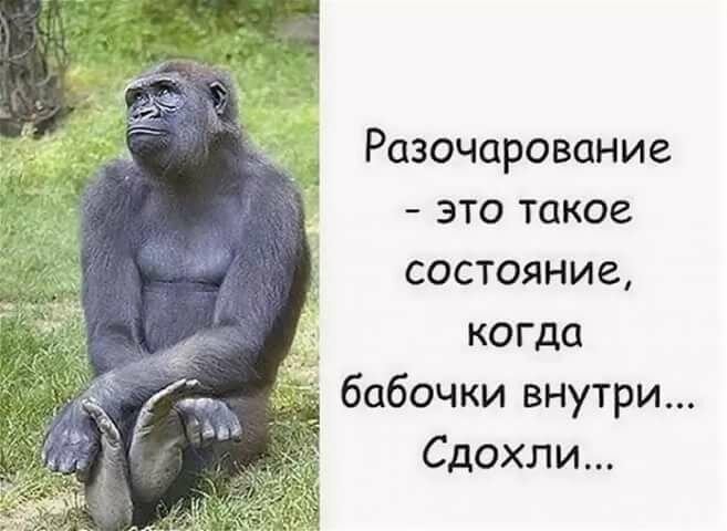 Прикольные картинки с надписями для поднятия настроения, фото 29 Прикольные картинки с надписями для поднятия настроения, фото 29