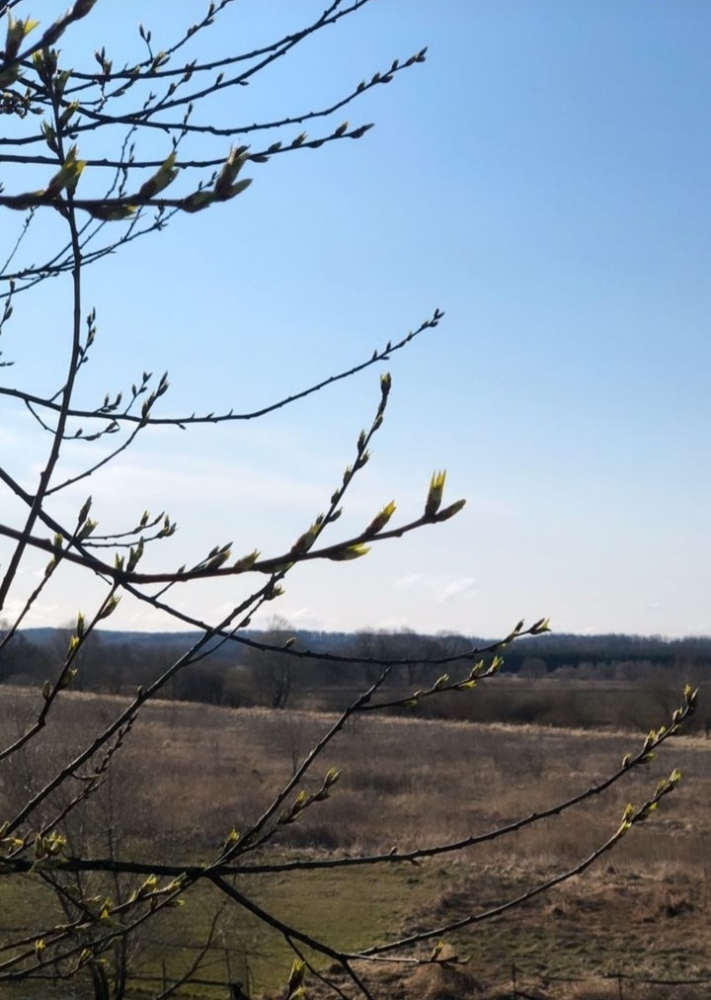 Снится мне деревня, фото 3 Снится мне деревня, фото 3