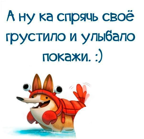 Прикольные картинки с надписями для поднятия настроения, фото 33 Прикольные картинки с надписями для поднятия настроения, фото 33