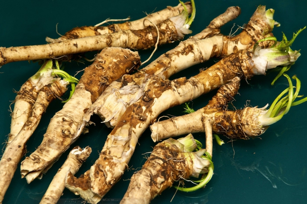 С чем можно есть хрен?