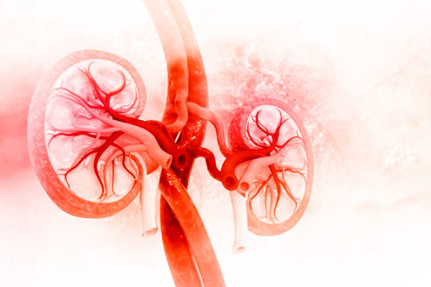 Как понять, что болят почки?