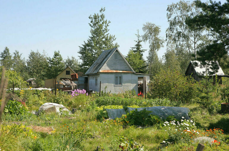 Как оспорить ошибочный штраф за токсичные растения на даче?