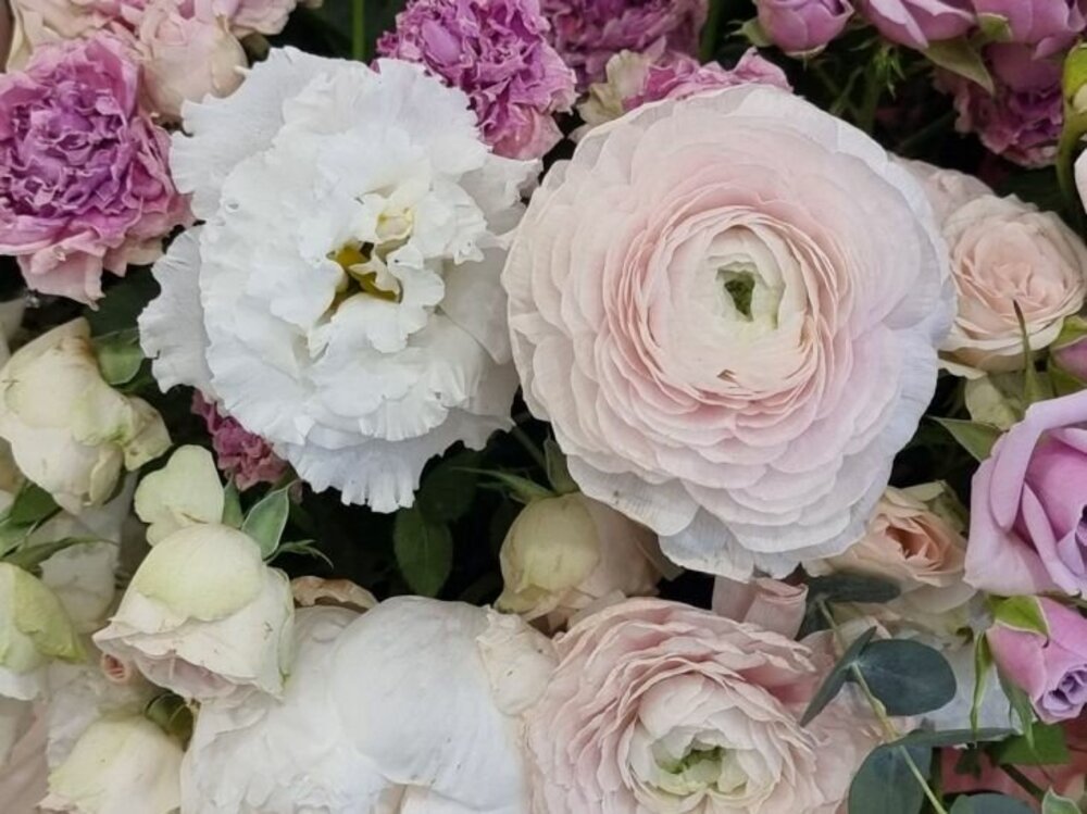 Какие растения стоит поставить дома одинокой даме?