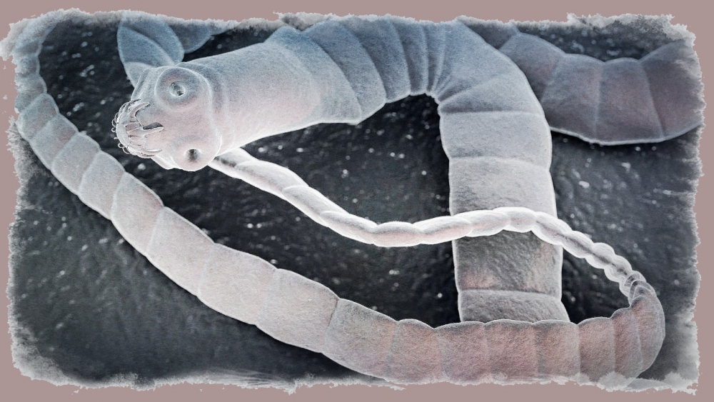 Как определить силитера?