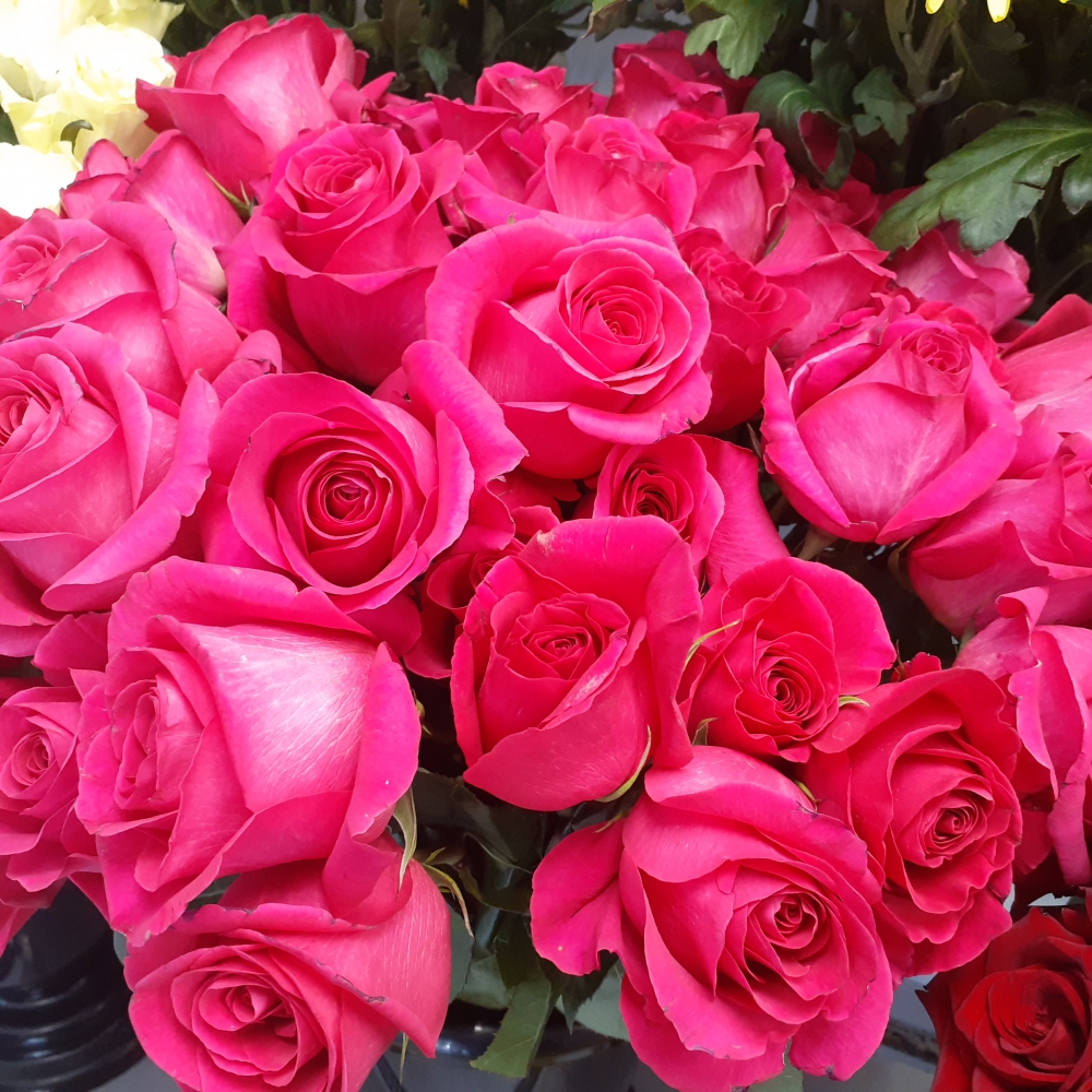 Как лучше продлить жизнь срезанным розам?