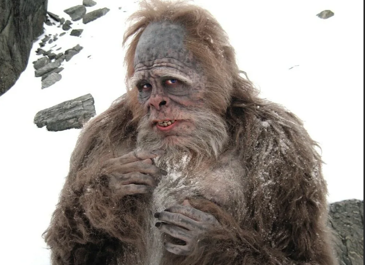 Правда ли, существует Етти?