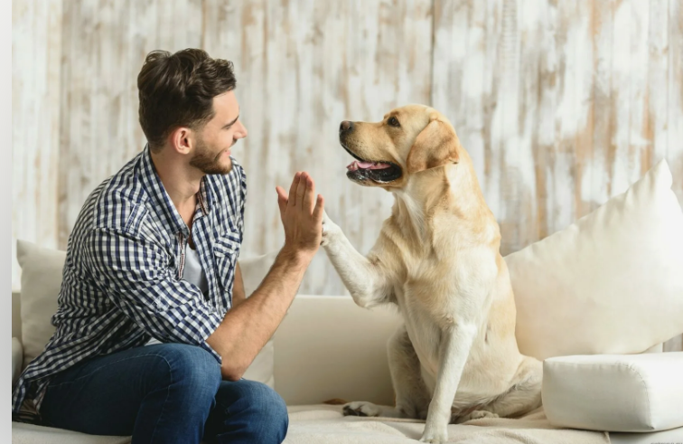 Чем лучше кормить свою собаку?