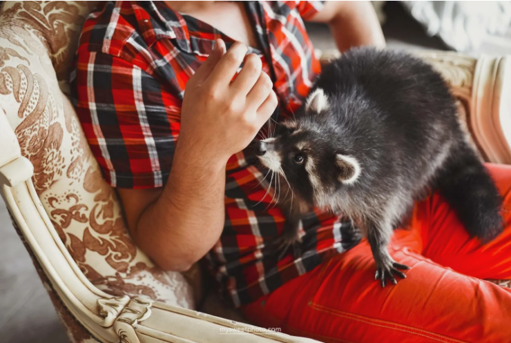 Опасно ли держать у себя в доме экзотических животных