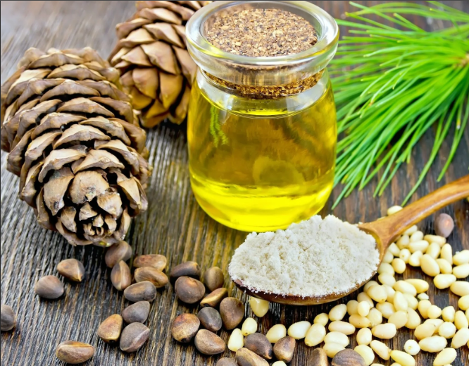 Сколько полезных веществ в кедровом масле