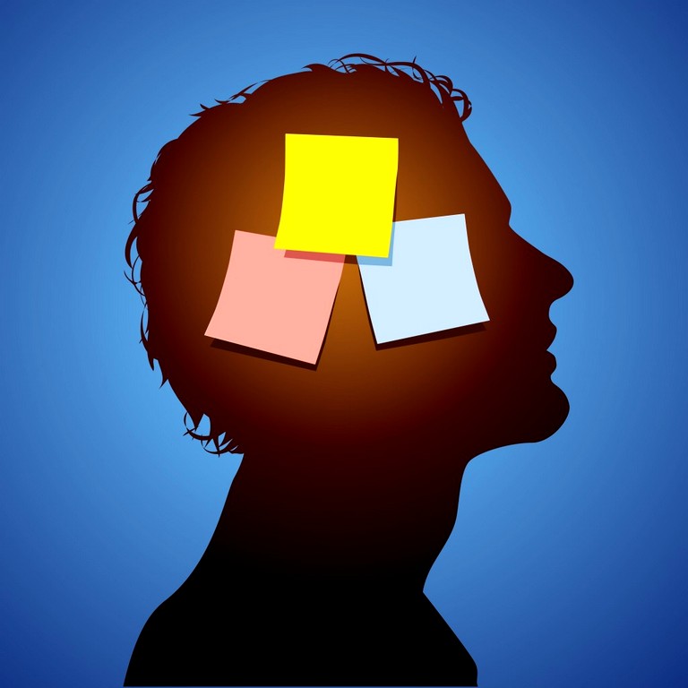 В какое время суток память лучше работает?