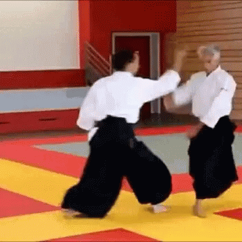 Айкидо, гармония тела и духа. Анимации.