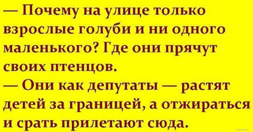 Картинки про депутатов смешные с надписями