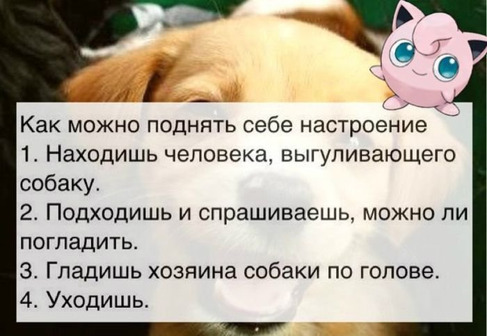 Картинки с приколом для поднятия настроения друзьям прикольные