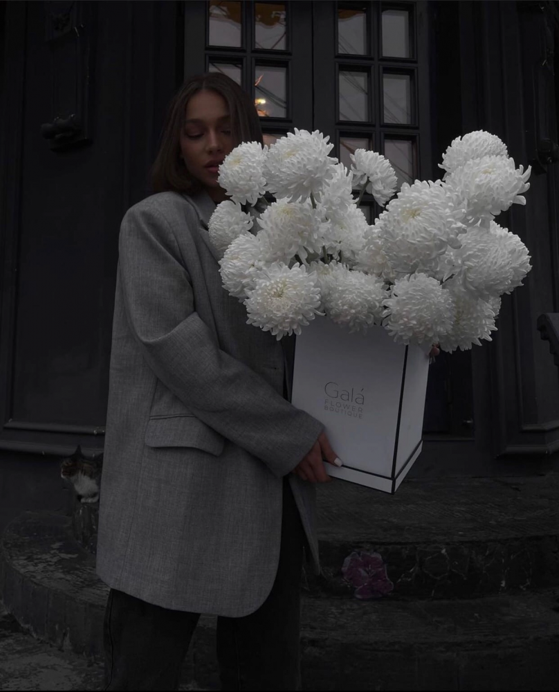 цветы хризантемы букеты. хочу букет цветов. корзина с цветами. цветок молочай миля. Want flowers.