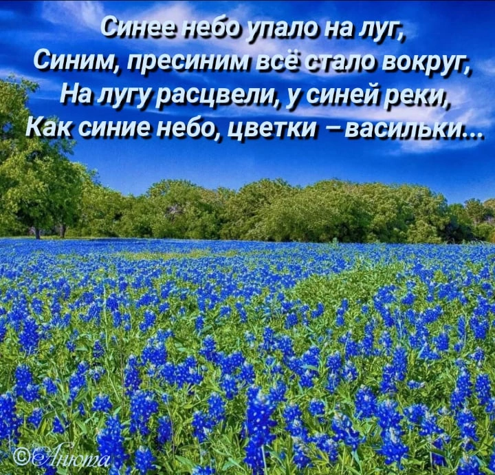 Синее поле золотом усыпано