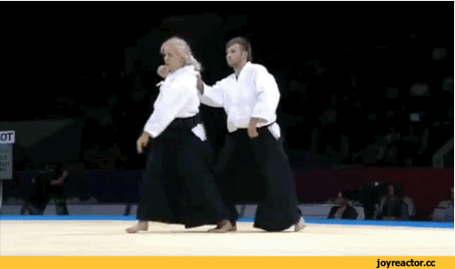 Айкидо, гармония тела и духа. Анимации.