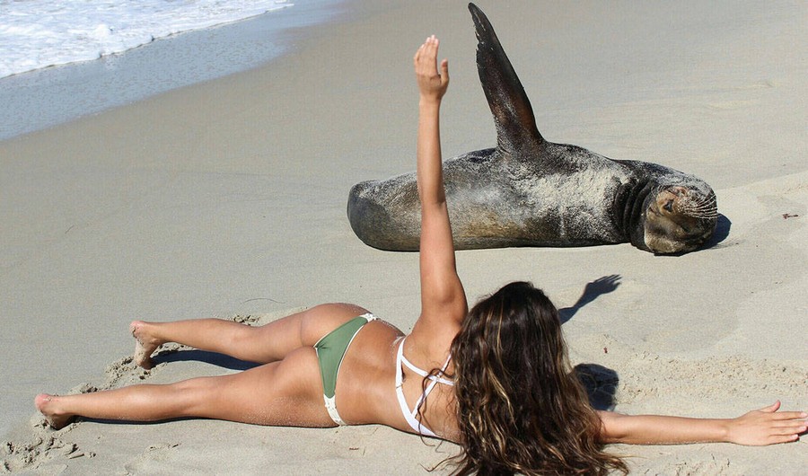 Курьезные моменты с пляжей, летняя фотоподборка смешных моментов , фото 12 Курьезные моменты с пляжей, летняя фотоподборка смешных моментов , фото 12