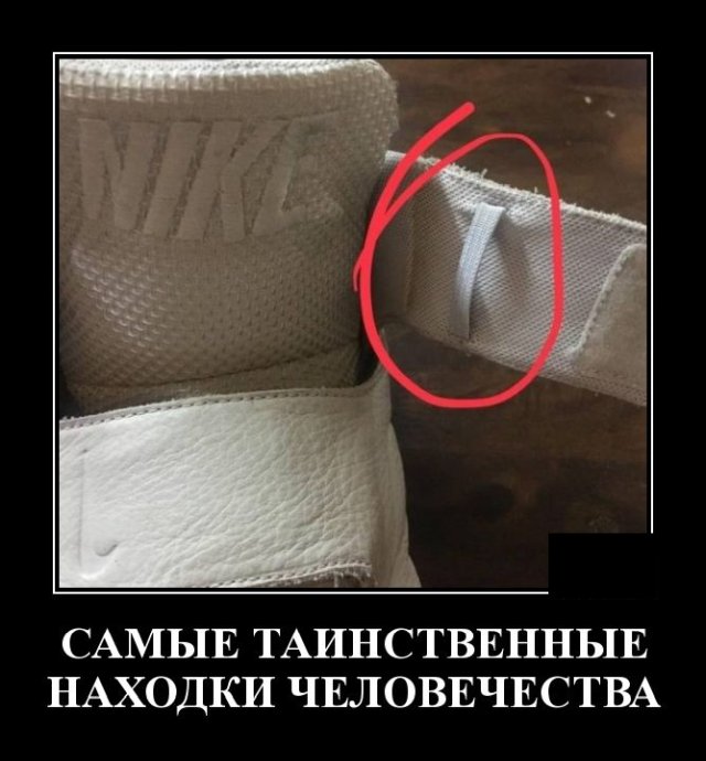 Подборка прикольных и забавных демотиваторов, фото 12