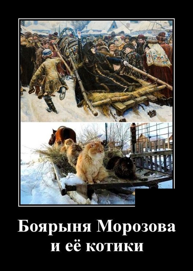 Подборка прикольных и забавных демотиваторов, фото 15