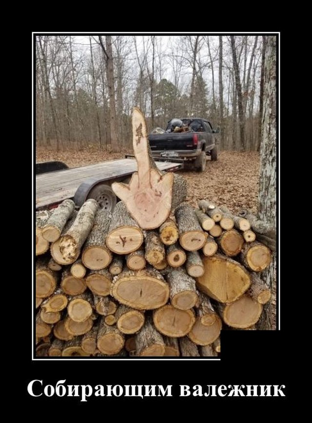 Подборка прикольных и забавных демотиваторов, фото 16