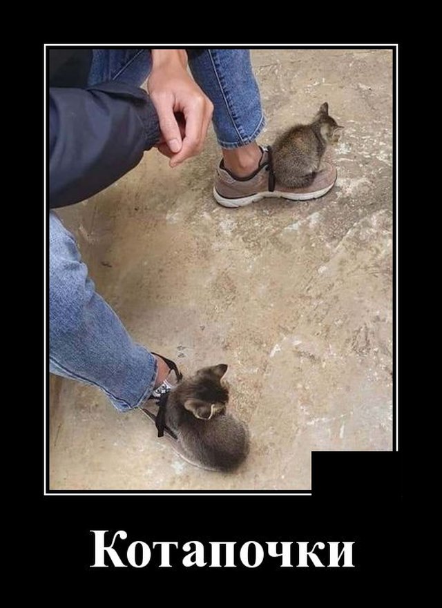 Подборка прикольных и забавных демотиваторов, фото 3