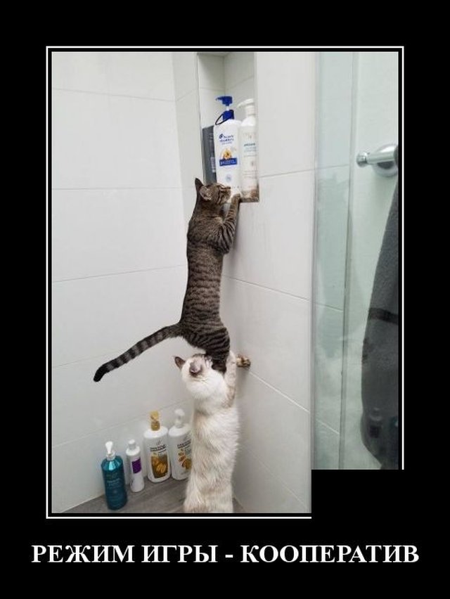 Подборка прикольных и забавных демотиваторов, фото 5