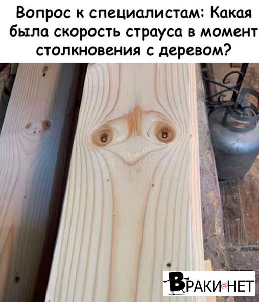 Сборная солянка юмора, для поднятия настроения, фото 19 Сборная солянка юмора, для поднятия настроения, фото 19