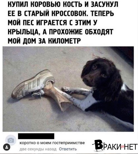 Сборная солянка юмора, для поднятия настроения, фото 4 Сборная солянка юмора, для поднятия настроения, фото 4