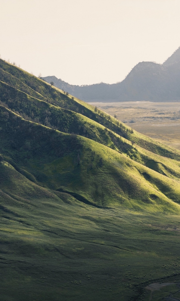 Подборка обоев для iphona 7plus. 10часть( последняя)., фото 1 Подборка обоев для iphona 7plus. 10часть( последняя)., фото 1