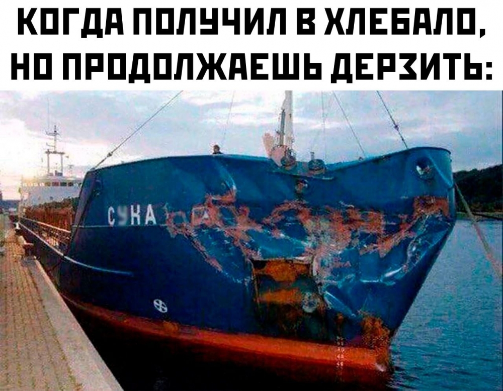 Шуточки и мемы для вас. 8 часть 