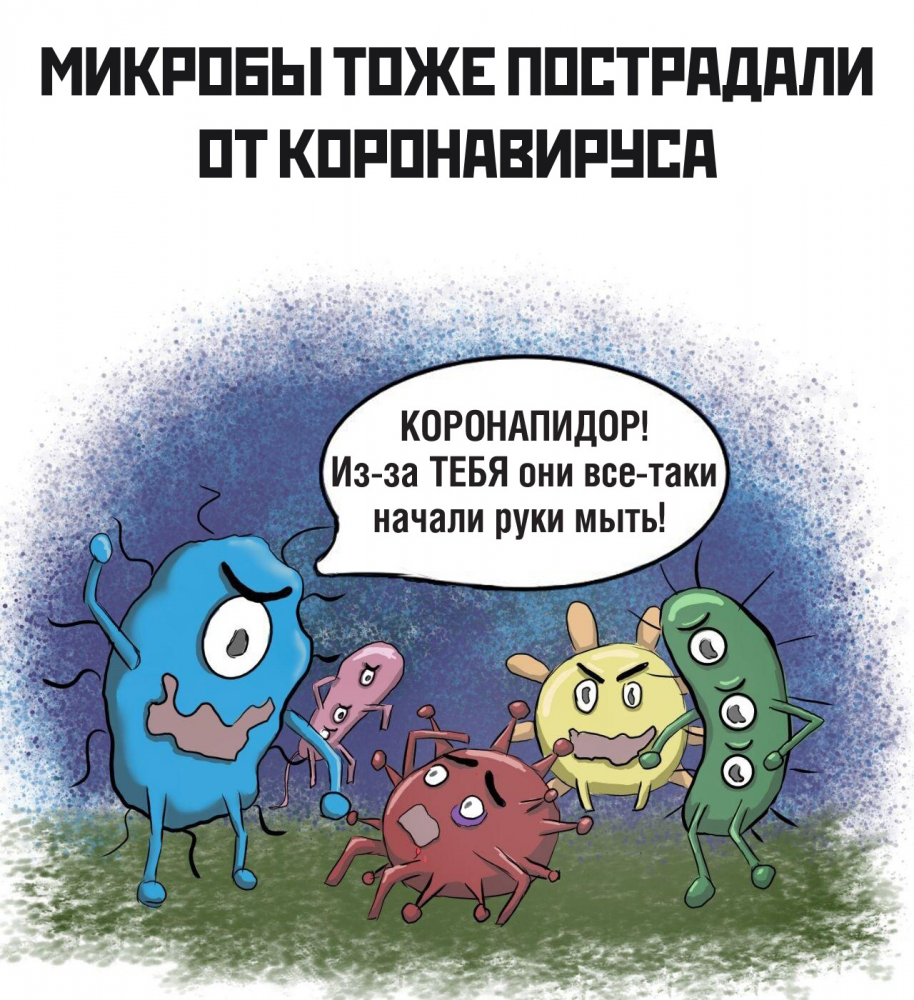 Коронавирус бро, фото 4 Коронавирус бро, фото 4